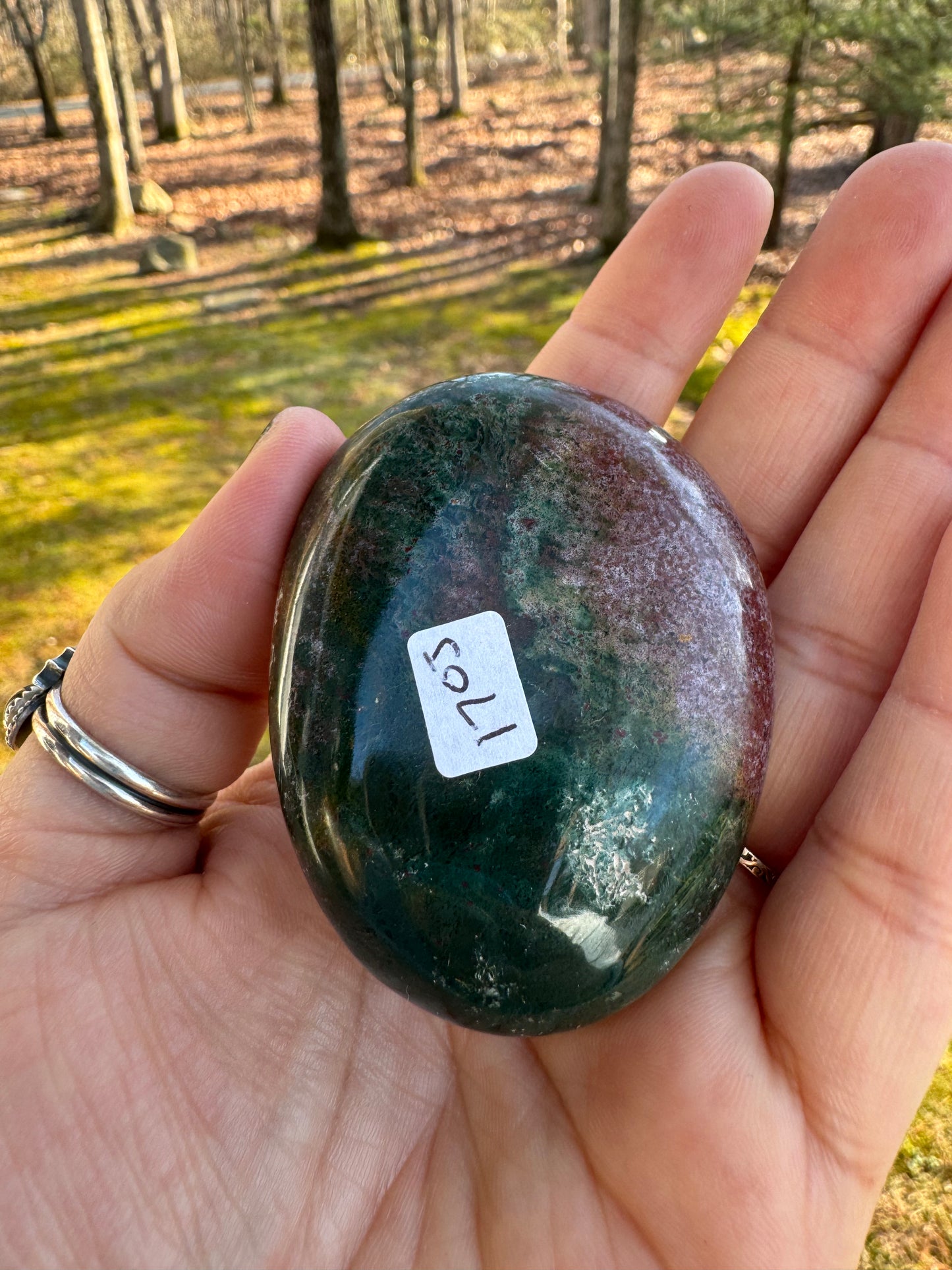 Ocean jasper palm stone