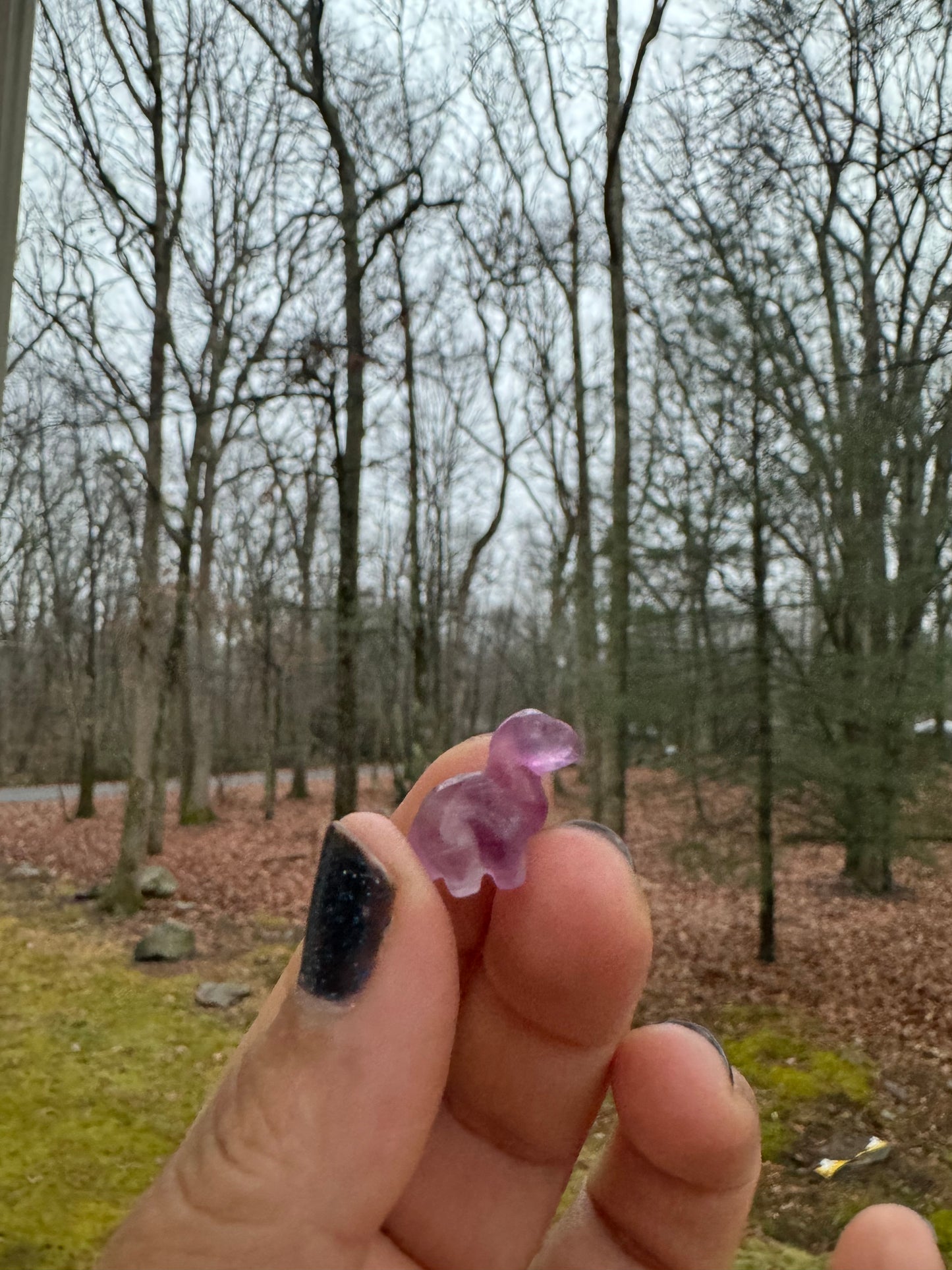 Mini fluorite Dino carving