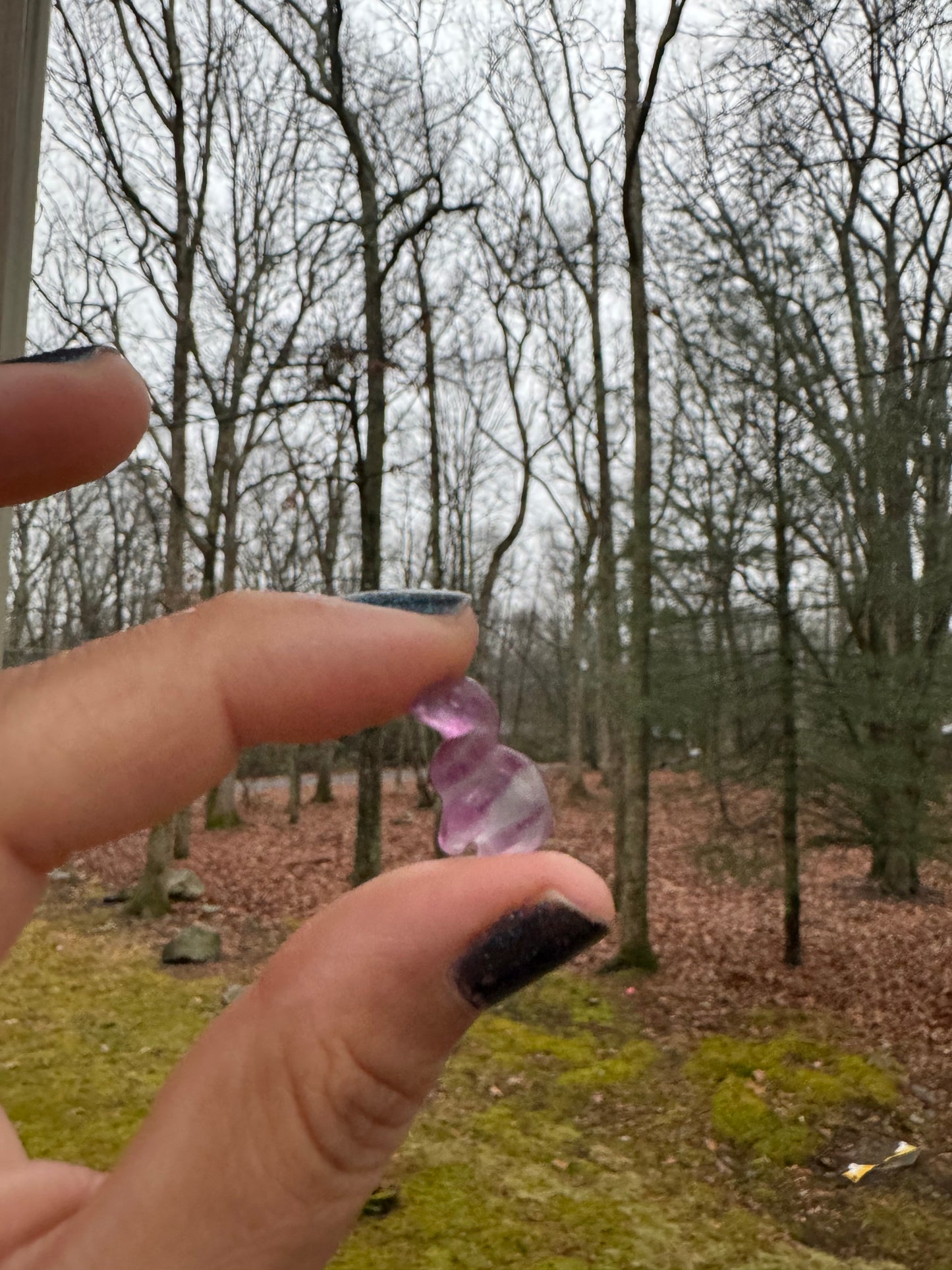 Mini fluorite Dino carving