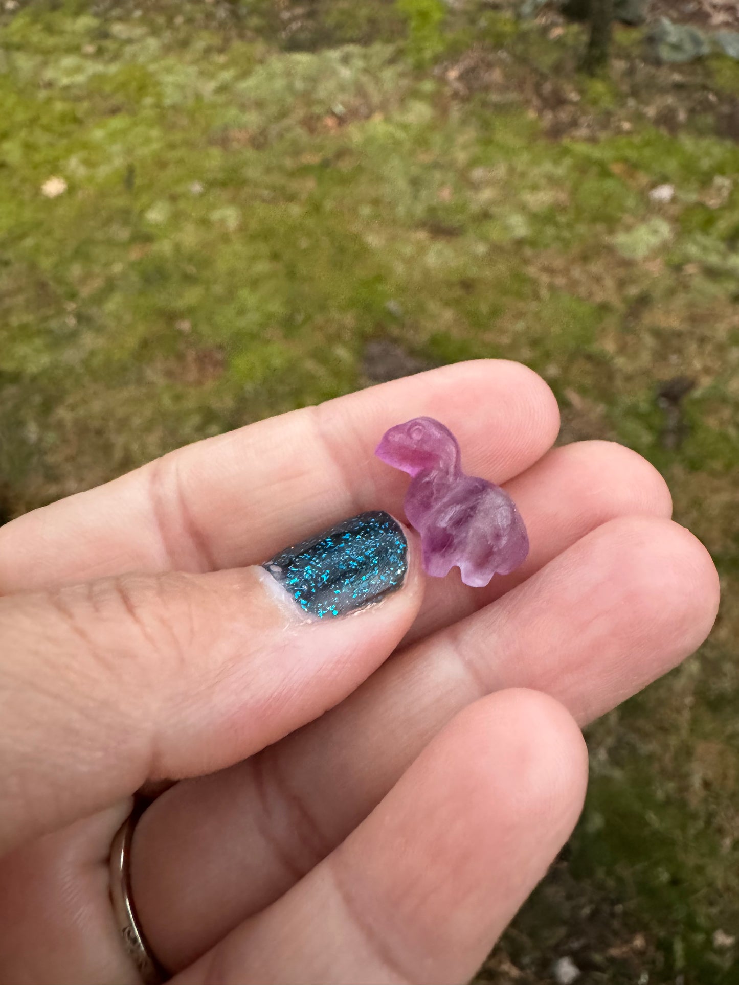 Mini fluorite Dino carving