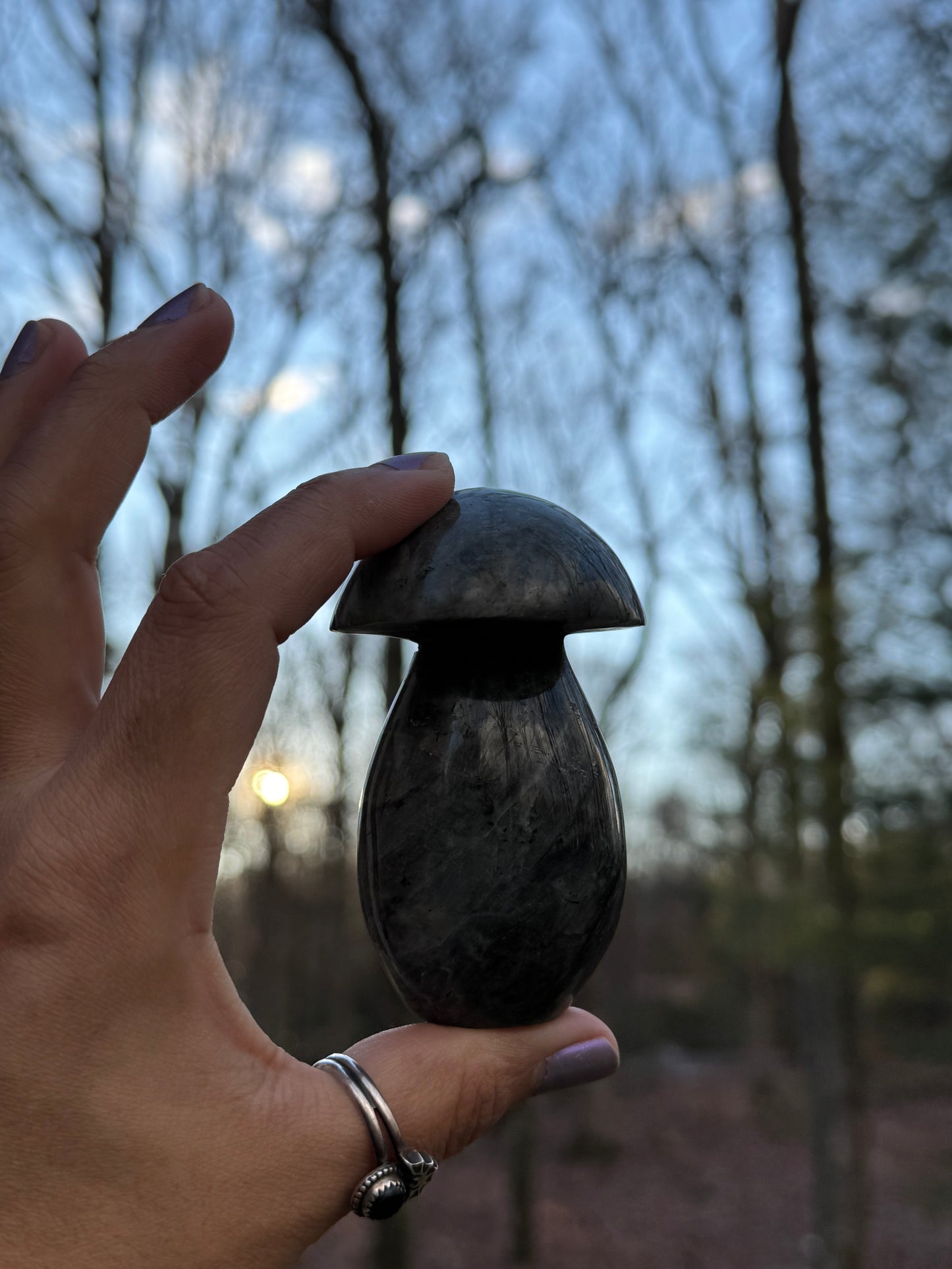 Labradorite mushroom