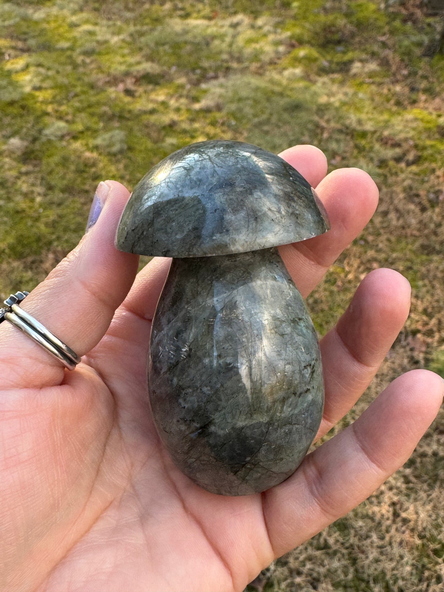 Labradorite mushroom