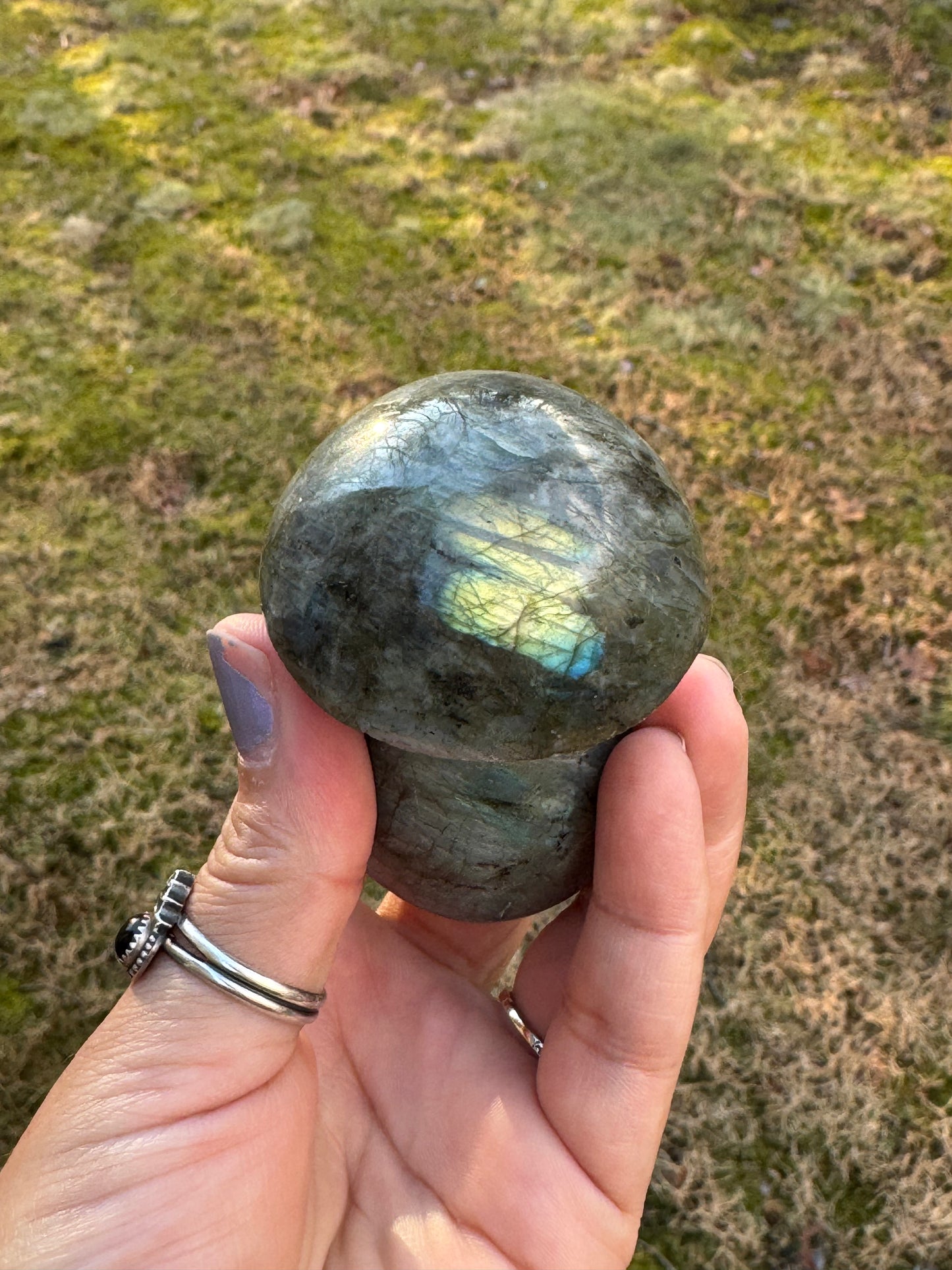 Labradorite mushroom