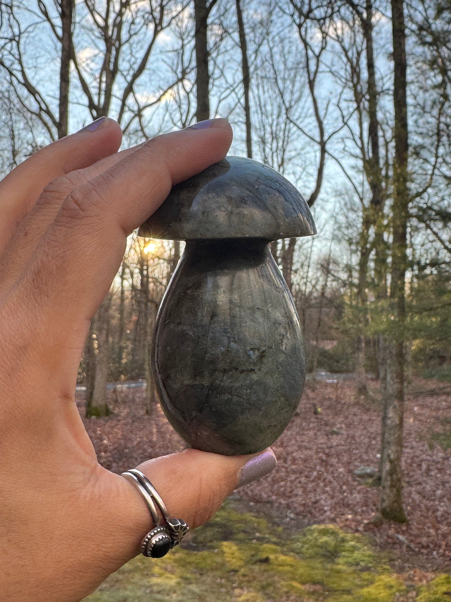 Labradorite mushroom