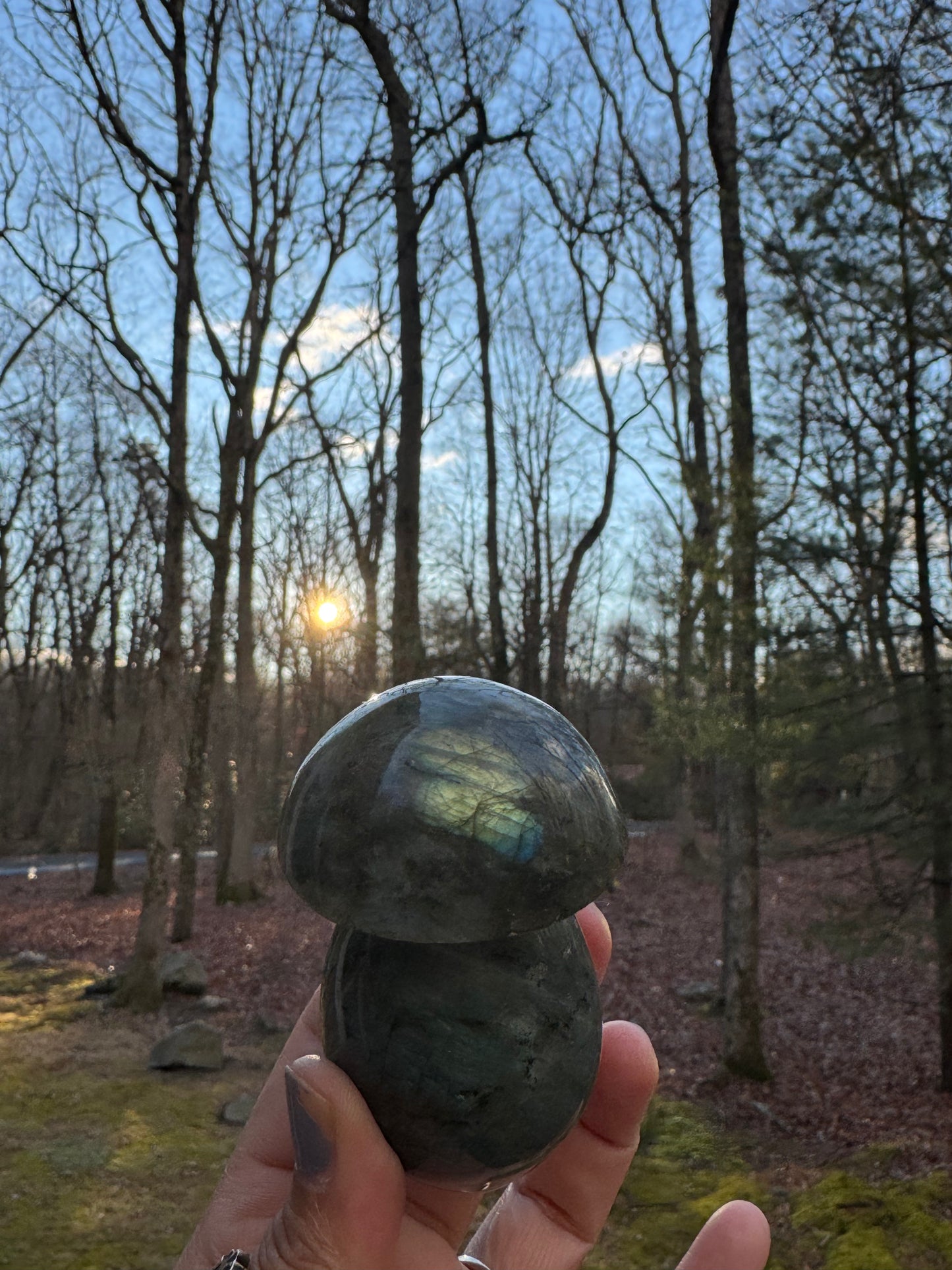 Labradorite mushroom