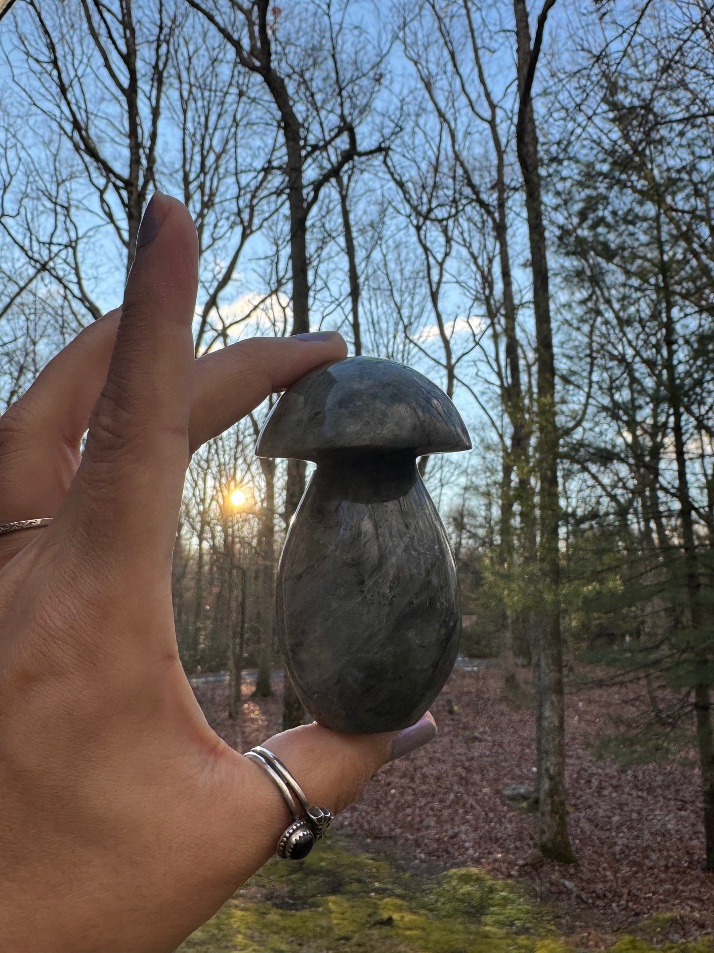 Labradorite mushroom