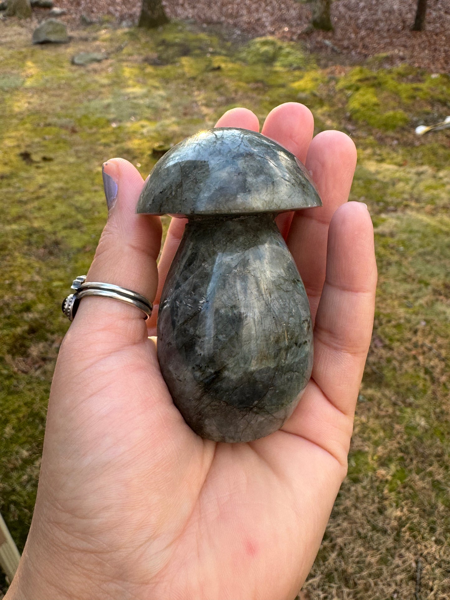 Labradorite mushroom