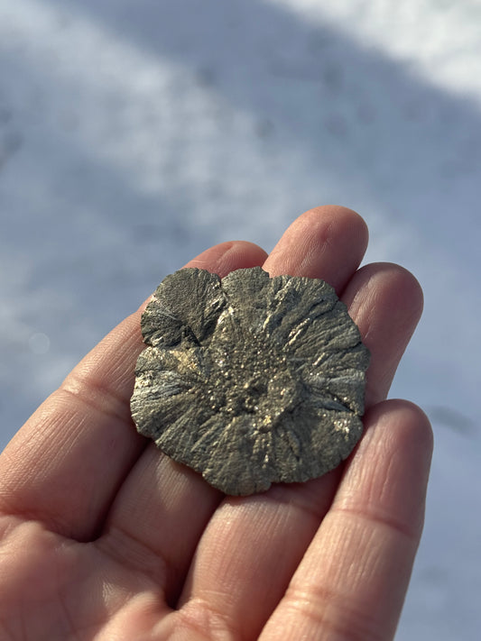 Pyrite Sun