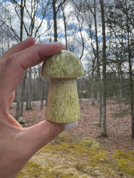 Idocrase mushroom