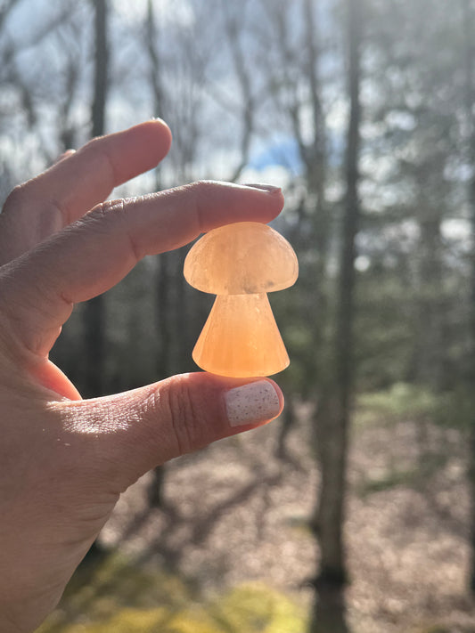 Orange selenite mushroom