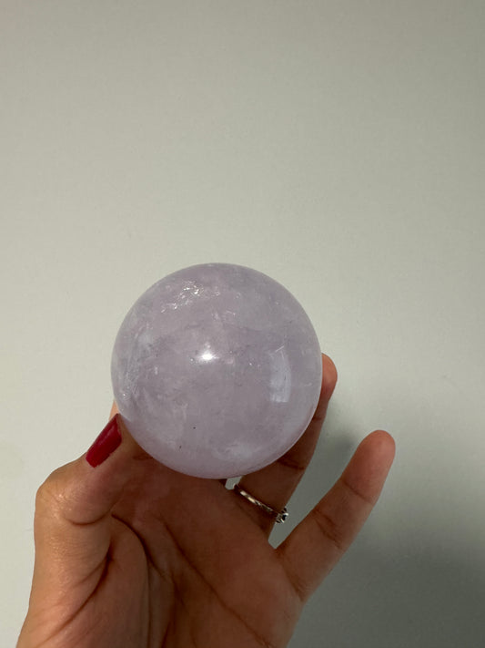 Lindsey live sale Claims