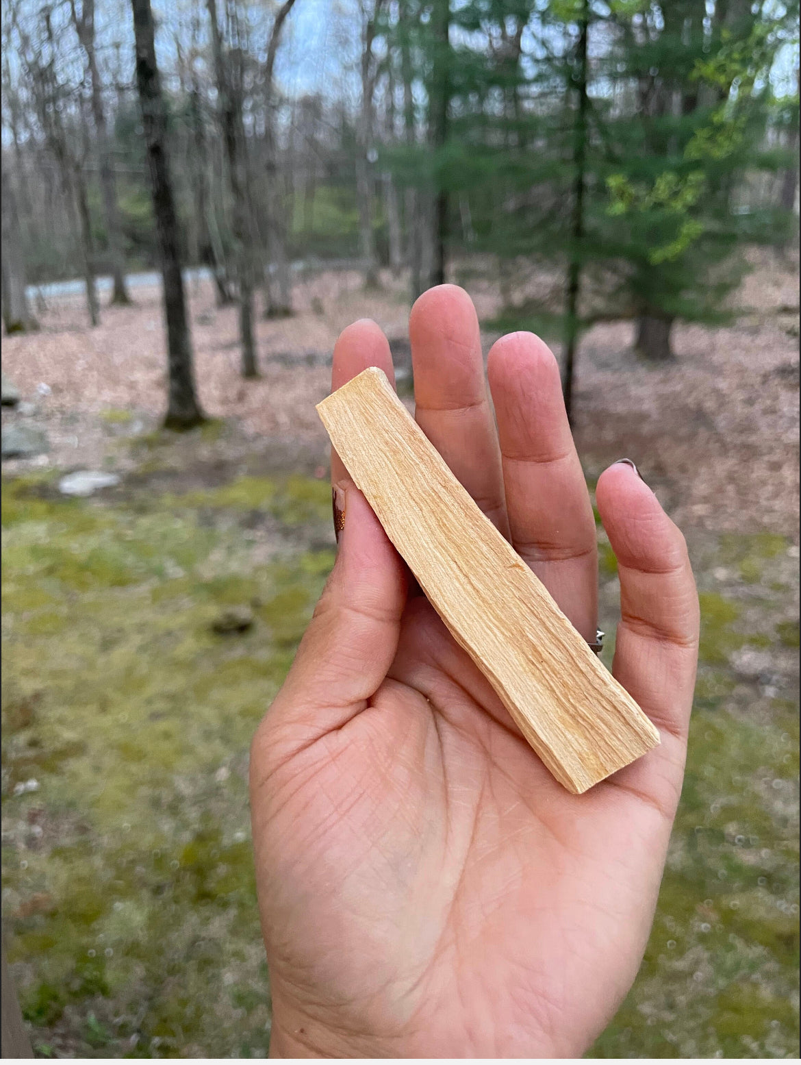 Palo santo