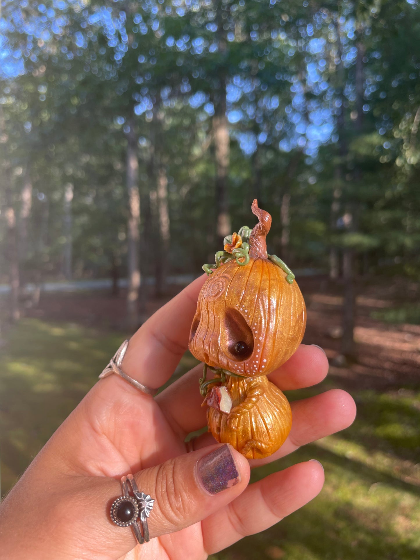 Baxley the baby pumpkin