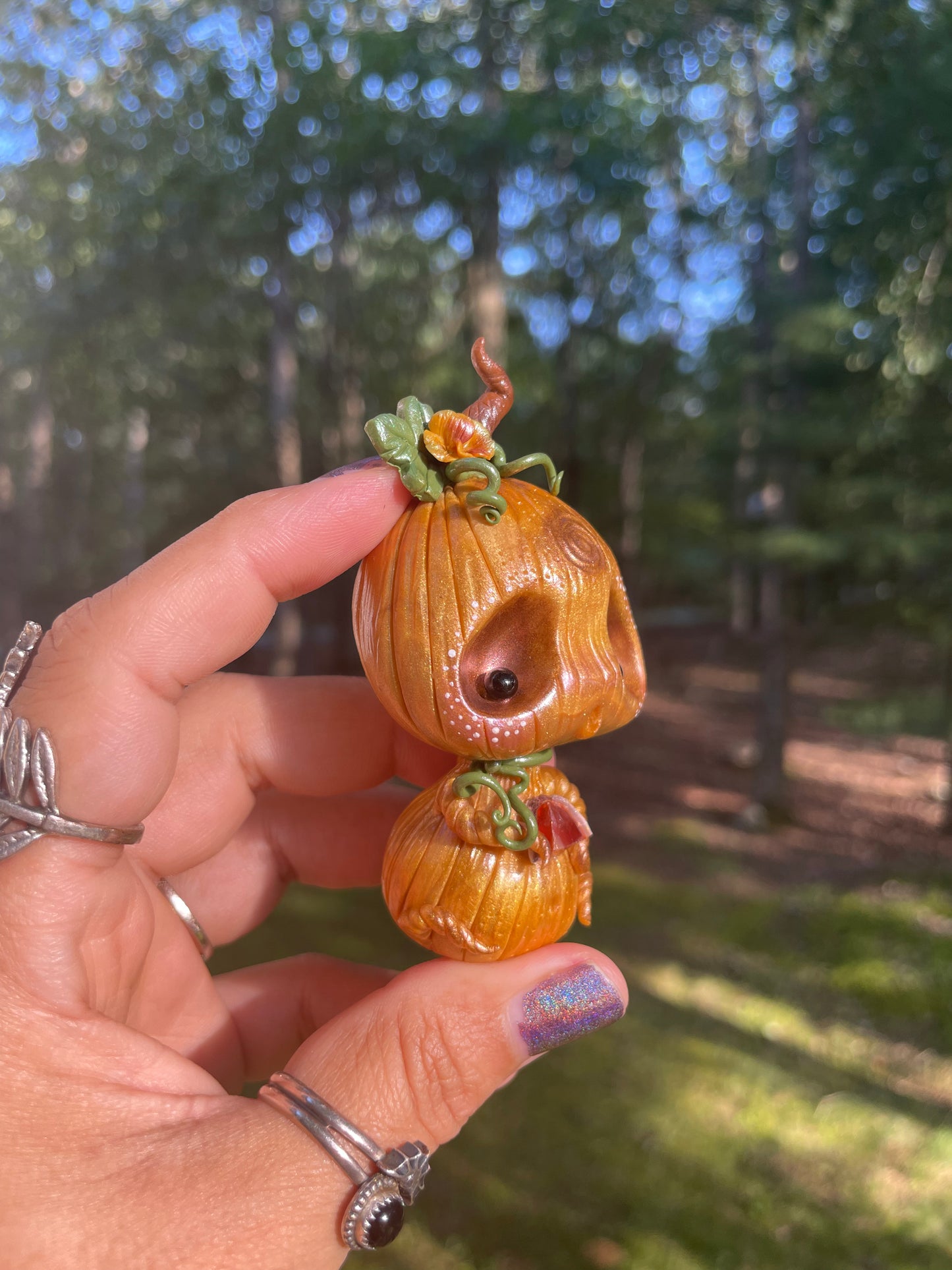 Baxley the baby pumpkin