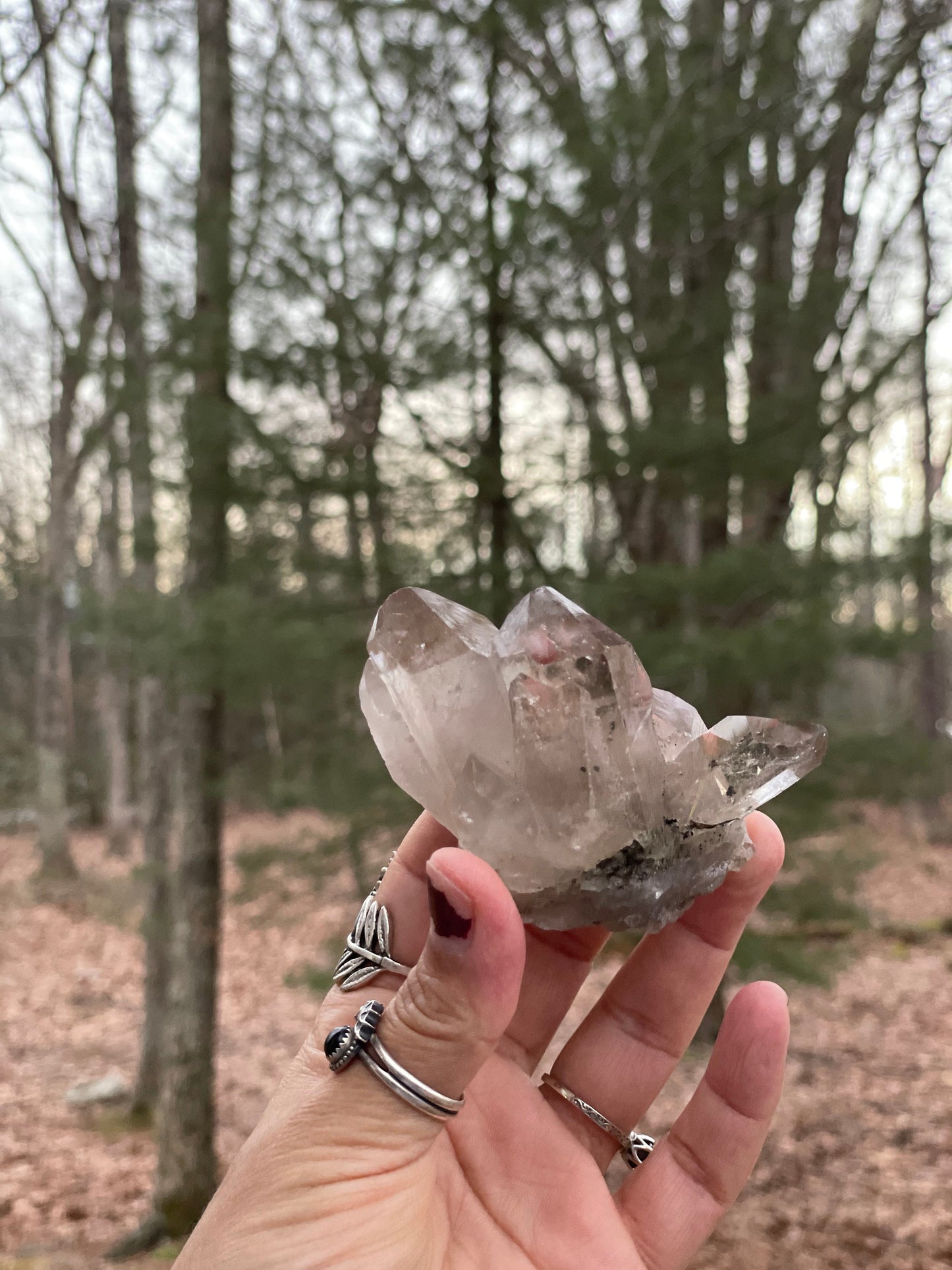 Golden Rutile quartz cluster