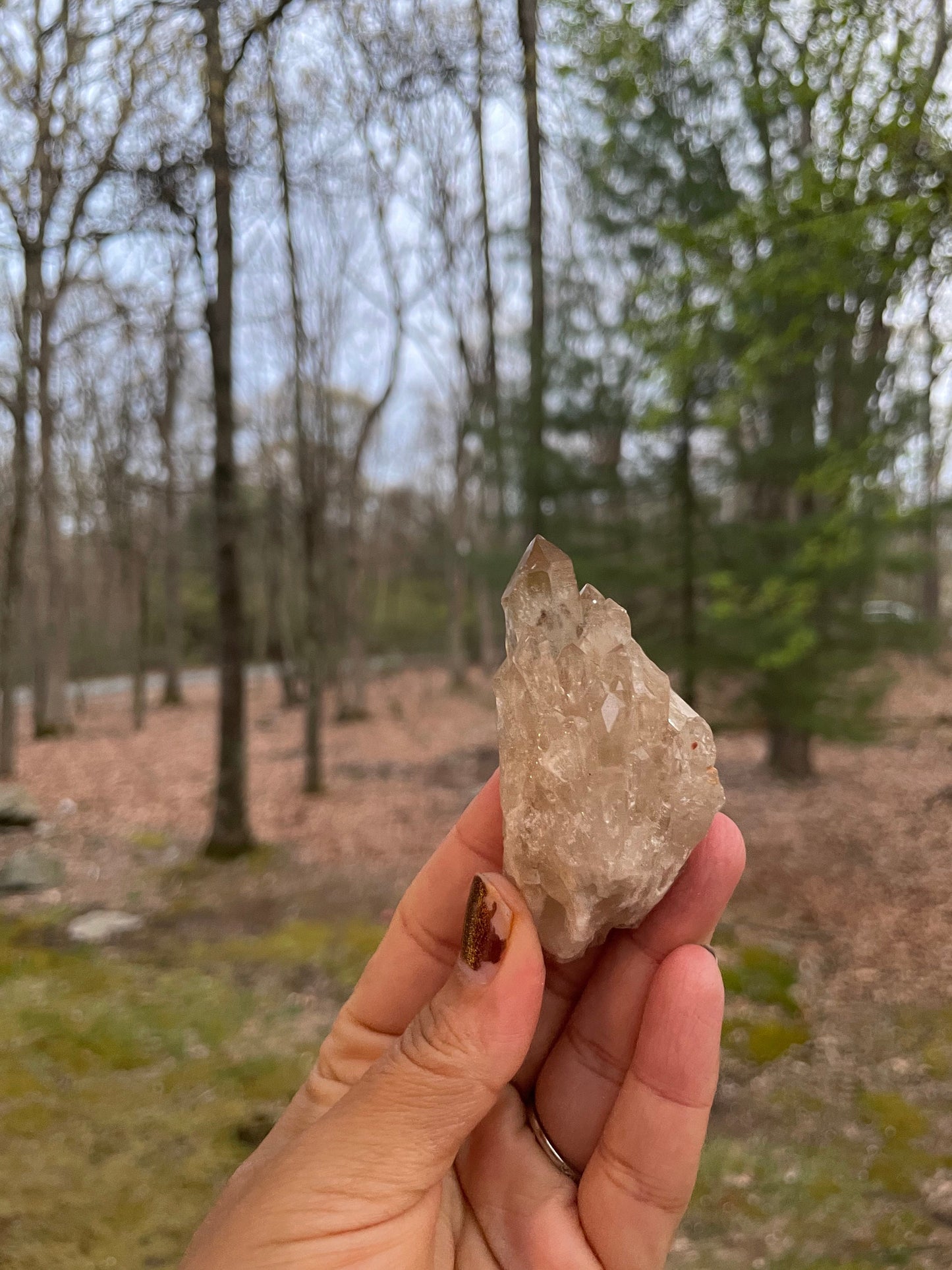 Natural smoky citrine point